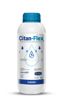CITAN - FLEX X LT