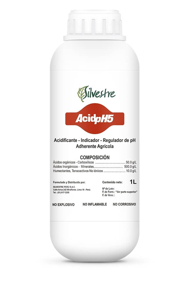 ACID PH5 x Lt